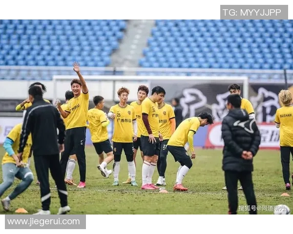 中国足协援助请求的国家及其背后的足球故事与挑战